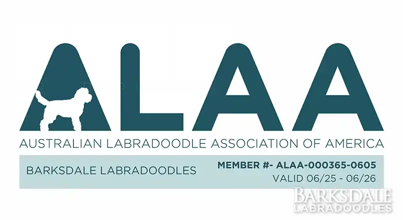 Australian Labradoodle Association of America - ALAA - Barksdale Labardoodles Member # ALAA-000365-0605 Valid -6/25-6/26