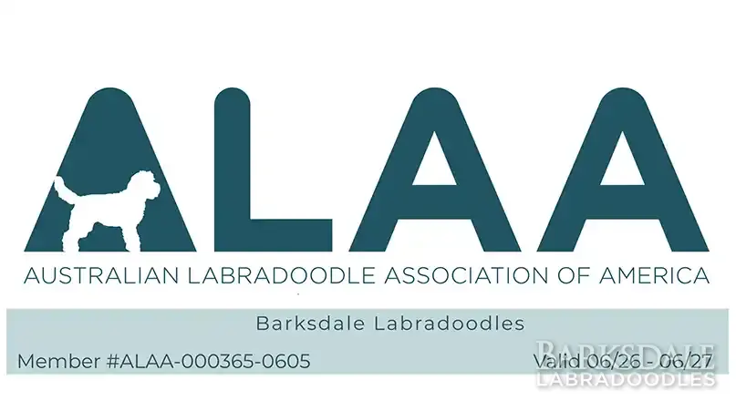 Australian Labradoodle Association of America - ALAA - Barksdale Labardoodles Member # ALAA-000365-0605 Valid -6/25-6/26