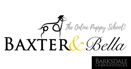 Baxter & Bella Online Puppy School