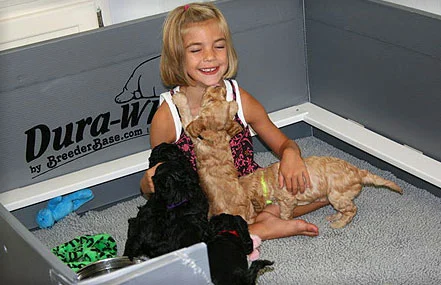 Barksdale Puppy Kits