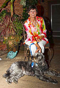 labradoodle service dog labradoodle service dog
