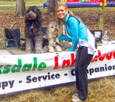 Therapy Labradoodle Therapy Labradoodle